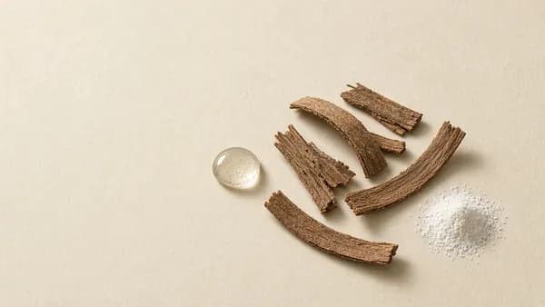 Willow bark strips beside a clear droplet and white powder