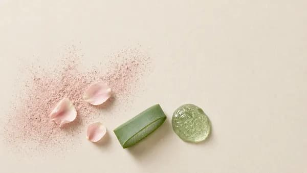 Pink powder and petals beside green aloe and a clear gel